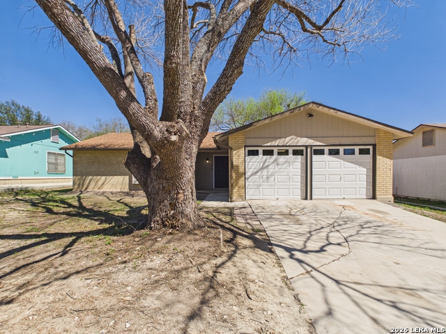 Image 2 of 25 For 1026 Bridle  