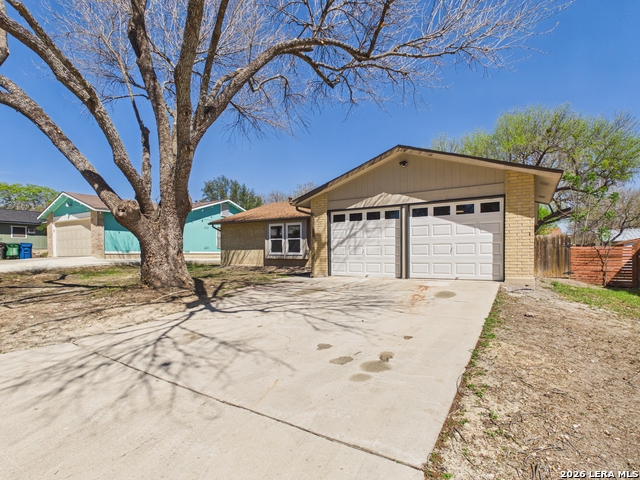 Image 3 of 25 For 1026 Bridle  