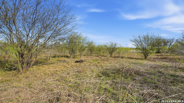 Listing photo id 10 for 3939 Fm 482  