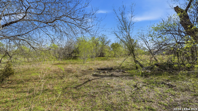 Listing photo id 16 for 3939 Fm 482  