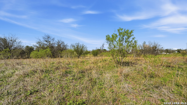 Listing photo id 5 for 3939 Fm 482  