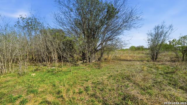 Listing photo id 6 for 3939 Fm 482  