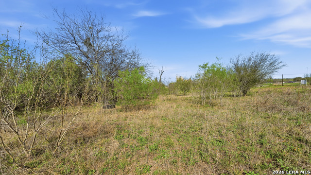 Listing photo id 7 for 3939 Fm 482  