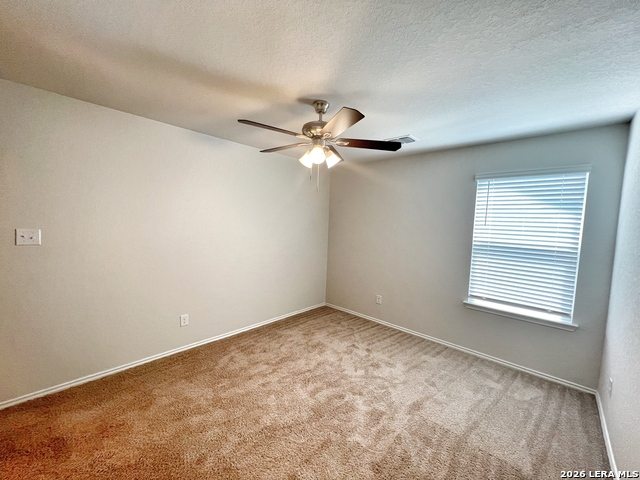 Image 29 of 41 For 29529 Spring Copper