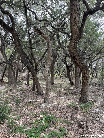 Image 10 of 16 For 24814 Creek Loop