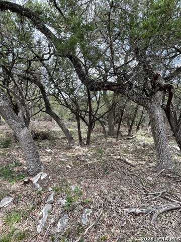 Image 11 of 16 For 24814 Creek Loop