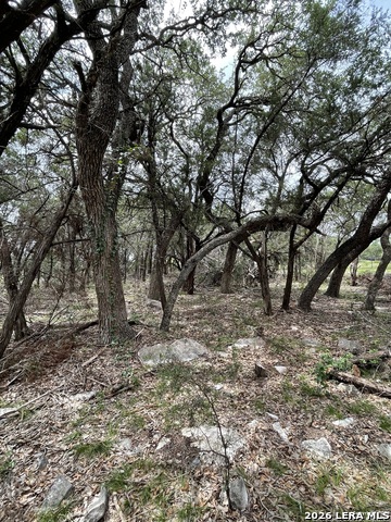 Image 12 of 16 For 24814 Creek Loop