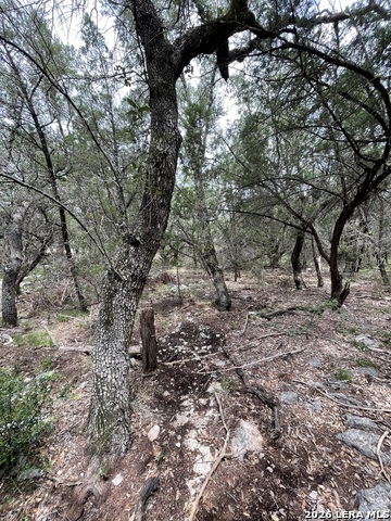 Image 13 of 16 For 24814 Creek Loop