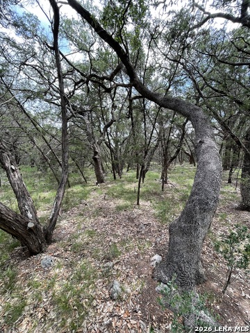 Image 14 of 16 For 24814 Creek Loop