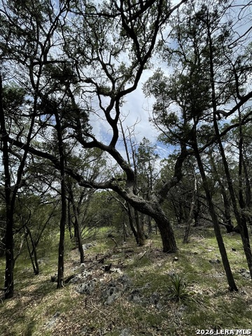 Image 15 of 16 For 24814 Creek Loop