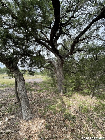 Image 16 of 16 For 24814 Creek Loop