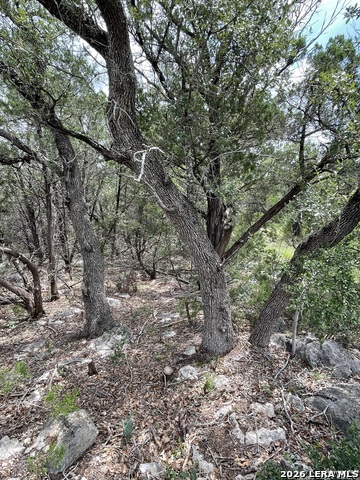 Image 9 of 16 For 24814 Creek Loop