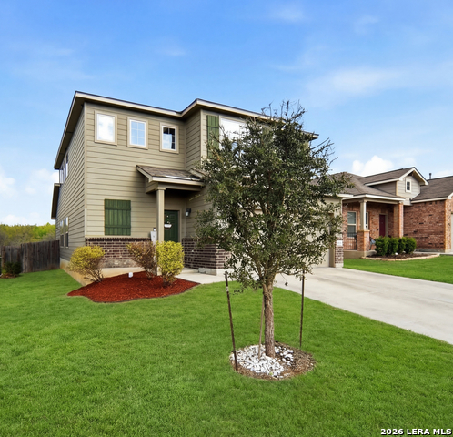 Image 35 of 35 For 1215 Butterfly Post