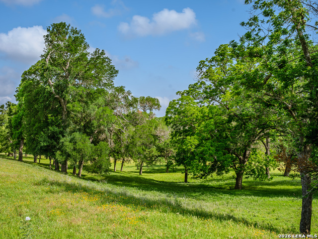 Listing photo id 8 for 0000 Cypress River Ranch