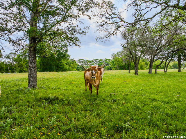 Listing photo id 10 for 0000 Cypress River Ranch
