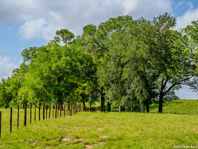Listing photo id 14 for 0000 Cypress River Ranch
