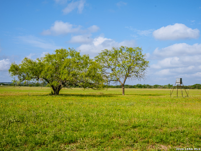 Listing photo id 24 for 0000 Cypress River Ranch