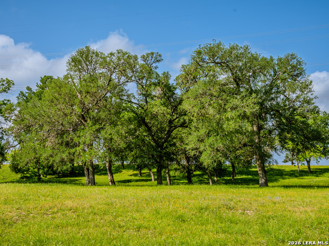 Listing photo id 27 for 0000 Cypress River Ranch
