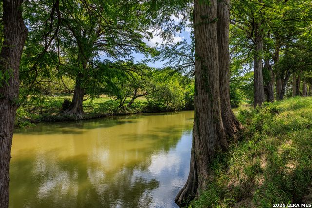 Listing photo id 4 for 0000 Cypress River Ranch
