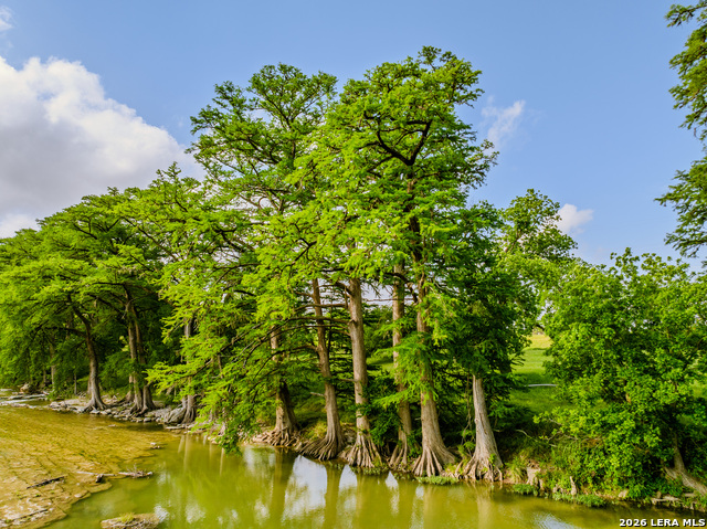 Listing photo id 7 for 0000 Cypress River Ranch