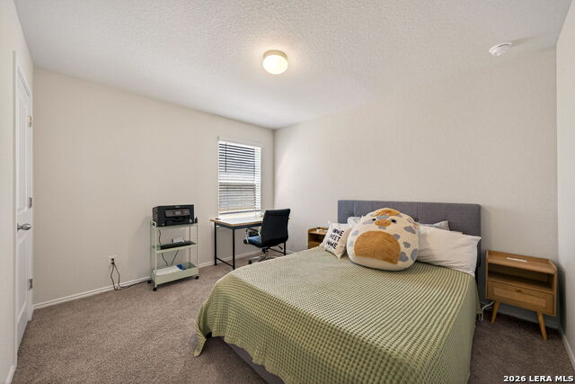 Image 19 of 35 For 29546 Lost Copper