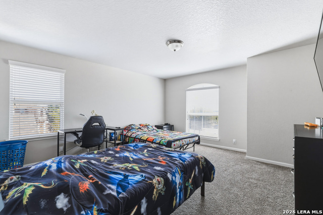 Image 26 of 34 For 15015 Pintail