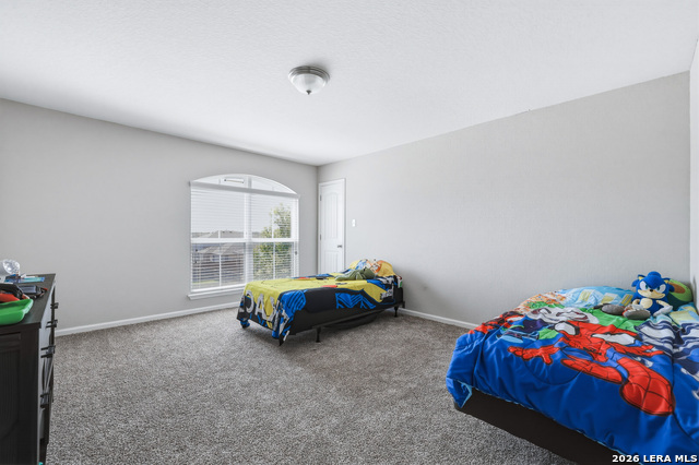 Image 27 of 34 For 15015 Pintail