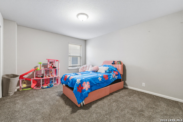 Image 28 of 34 For 15015 Pintail