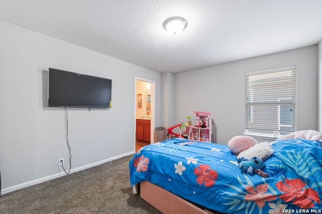 Image 29 of 34 For 15015 Pintail