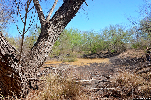 Image 3 of 13 For 4972 County Road 324