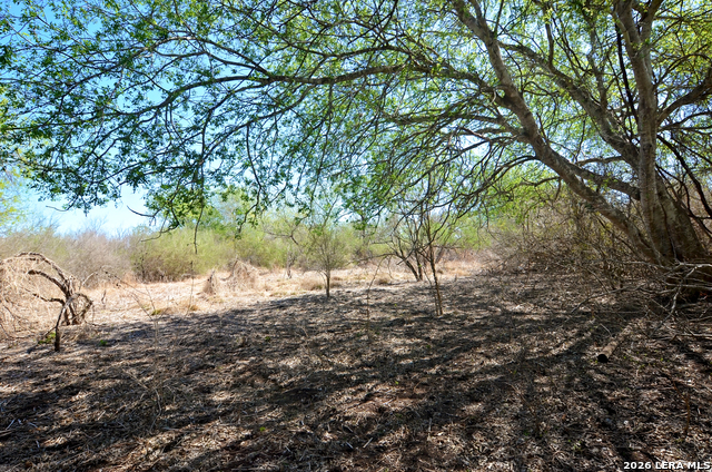 Image 4 of 13 For 4972 County Road 324