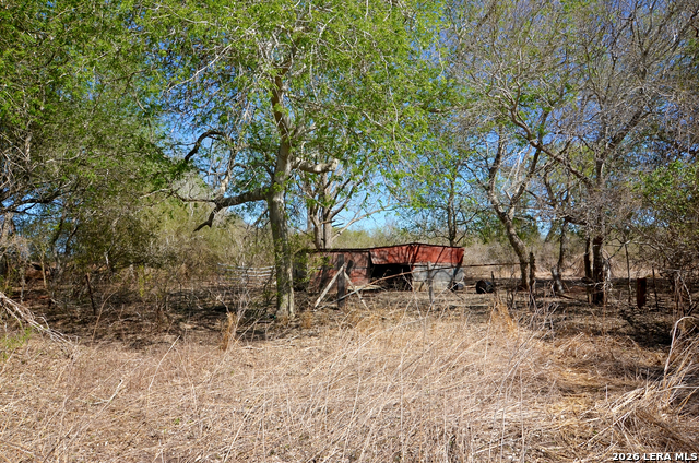 Image 6 of 13 For 4972 County Road 324
