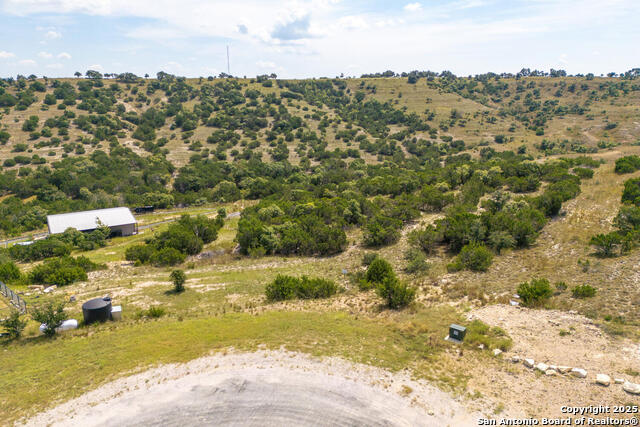 Image 2 of 11 For 50 Thriving Oak