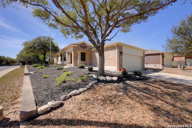 Image 3 of 45 For 12702 Cedar Fly