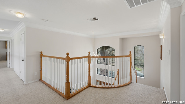 Image 13 of 67 For 449 Hunters Trophy