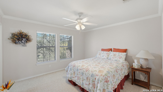 Image 39 of 67 For 449 Hunters Trophy