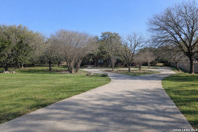 Image 4 of 67 For 449 Hunters Trophy