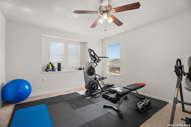 Listing photo id 23 for 7347 Bluebonnet Bay