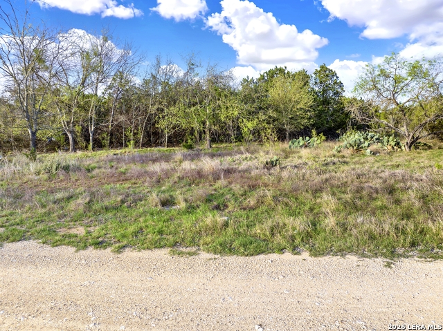 Image 10 of 11 For 373 Bandera  