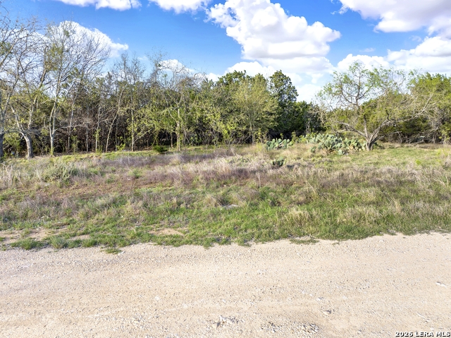 Image 11 of 11 For 373 Bandera  