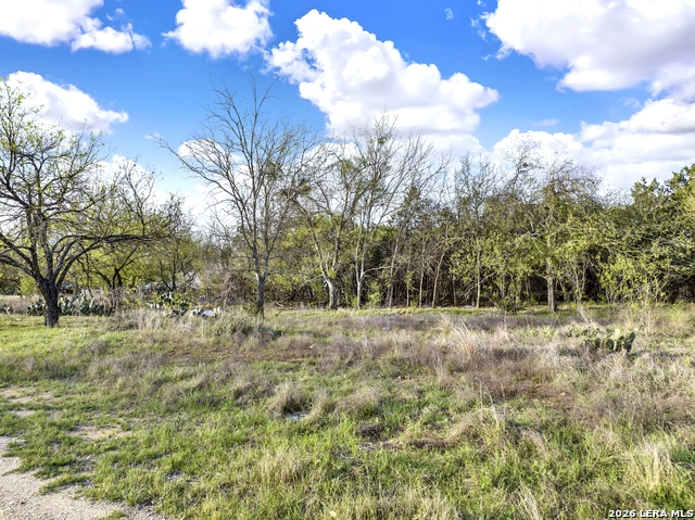 Image 2 of 11 For 373 Bandera  