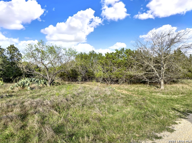 Image 3 of 11 For 373 Bandera  