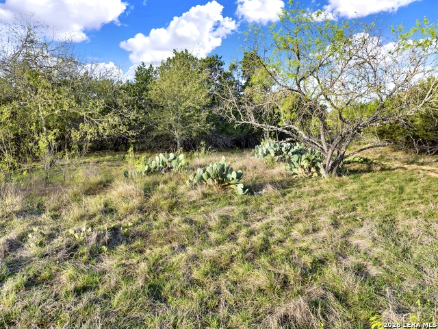 Image 9 of 11 For 373 Bandera  