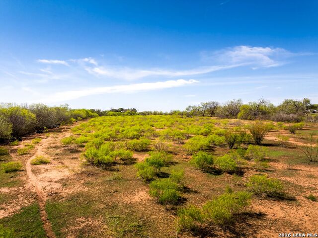 Image 17 of 43 For 4246 Rakowitz Rd