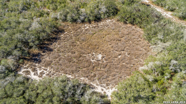 Image 10 of 36 For Blk A Tr 13  