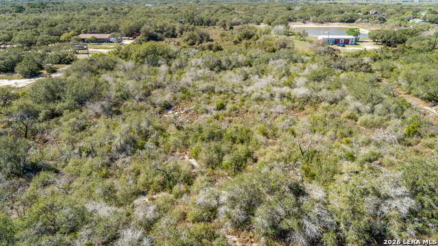 Image 11 of 36 For Blk A Tr 13  