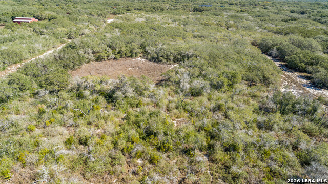 Image 12 of 36 For Blk A Tr 13  