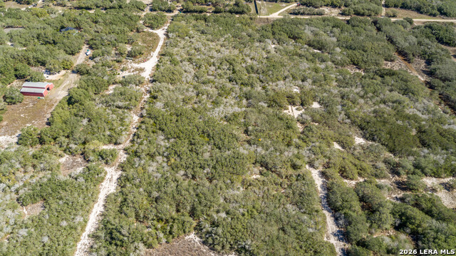 Image 13 of 36 For Blk A Tr 13  