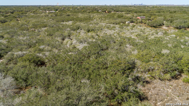 Image 17 of 36 For Blk A Tr 13  