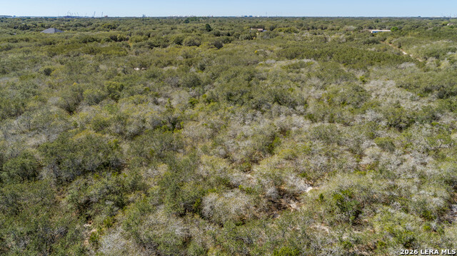 Image 21 of 36 For Blk A Tr 13  